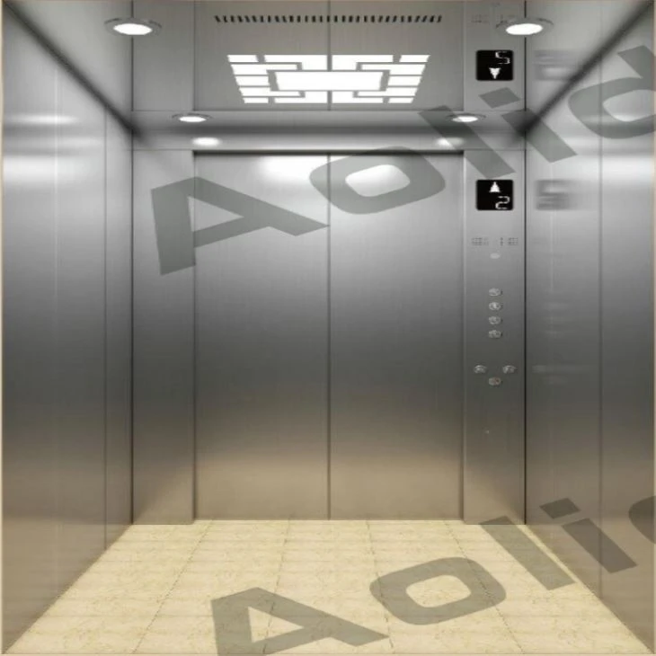 Haarlijn RVS Home Lift